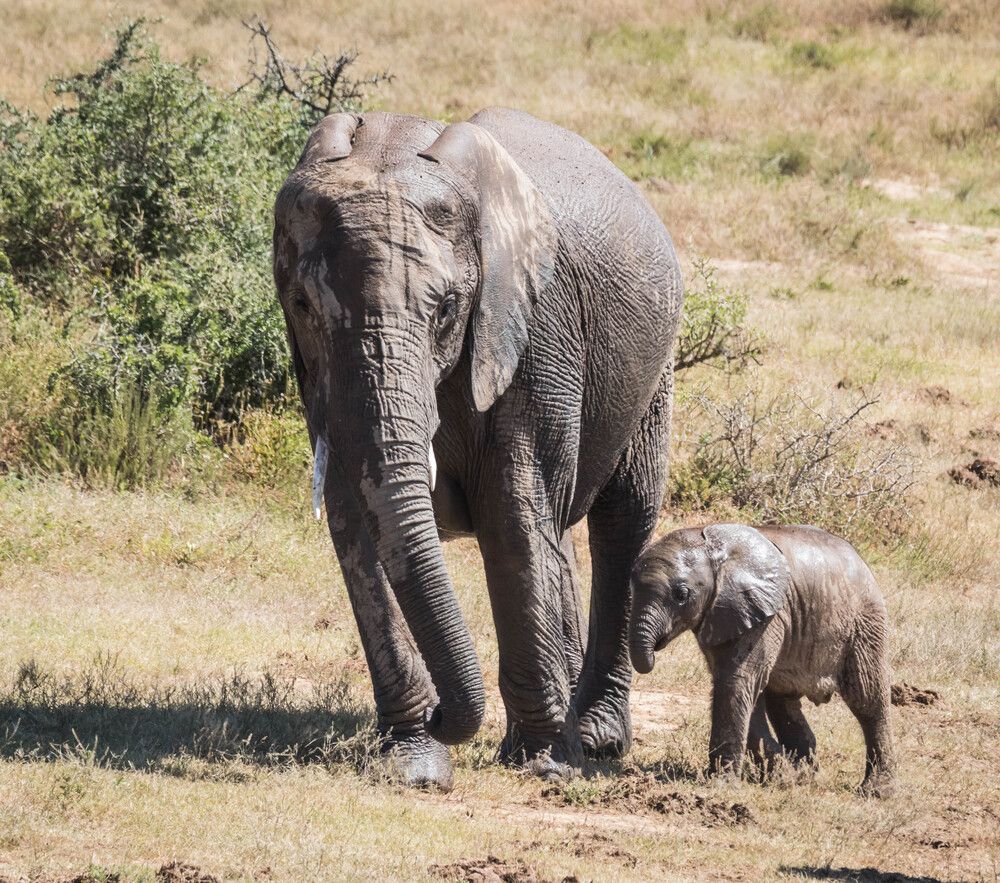 Photograph by Malinda Badenhorst