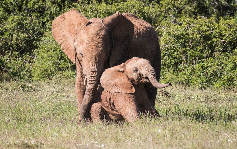 Photograph by Malinda Badenhorst