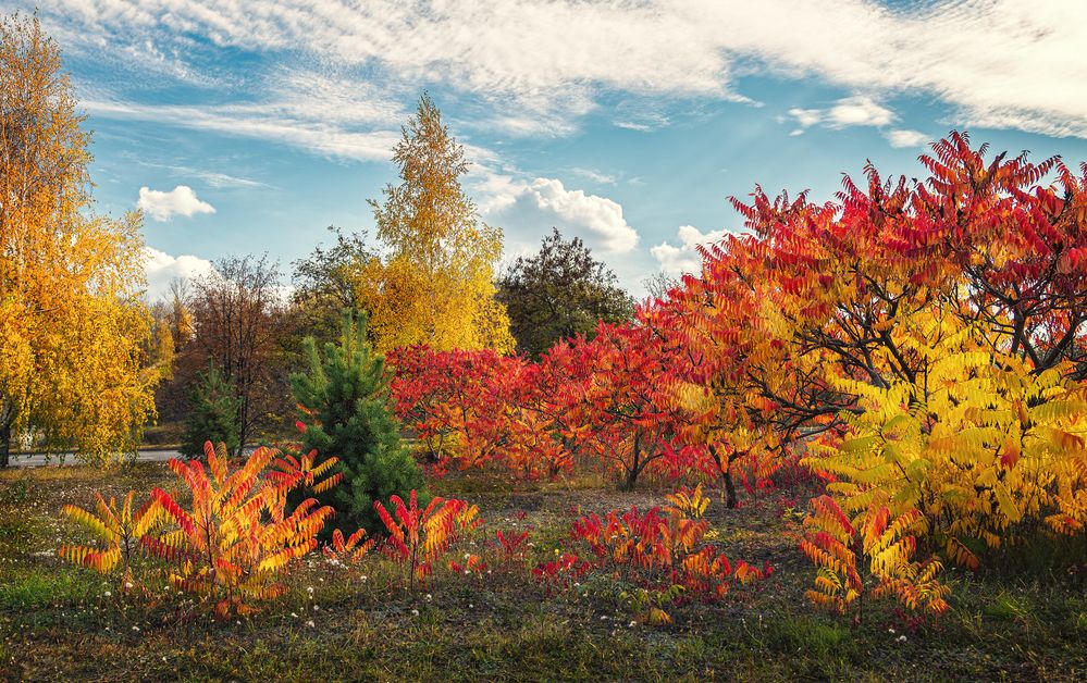 Photograph by Бурда Юрий