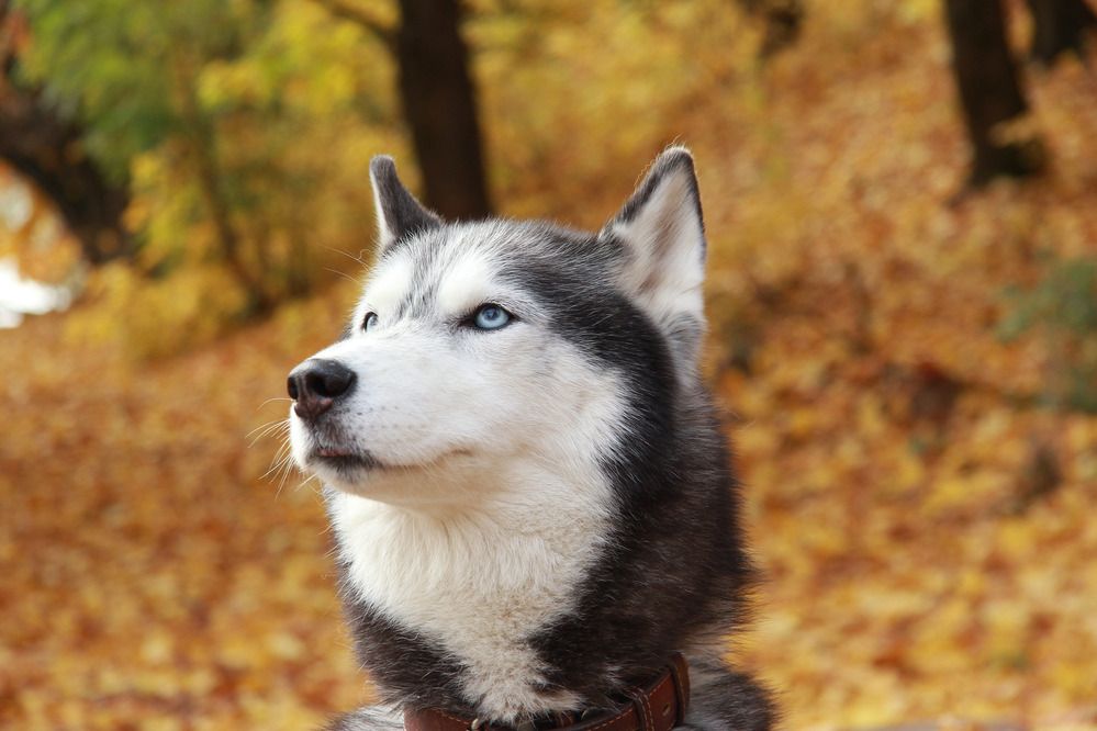 Photograph by Виталий Полозов