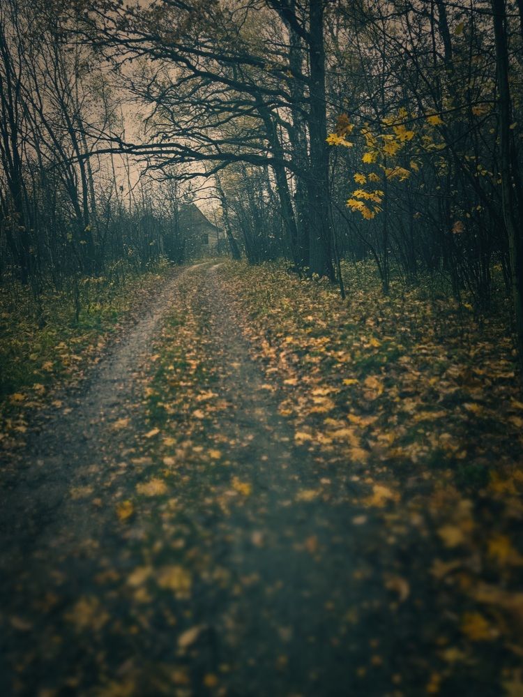 Photograph by Сергей Лабзин