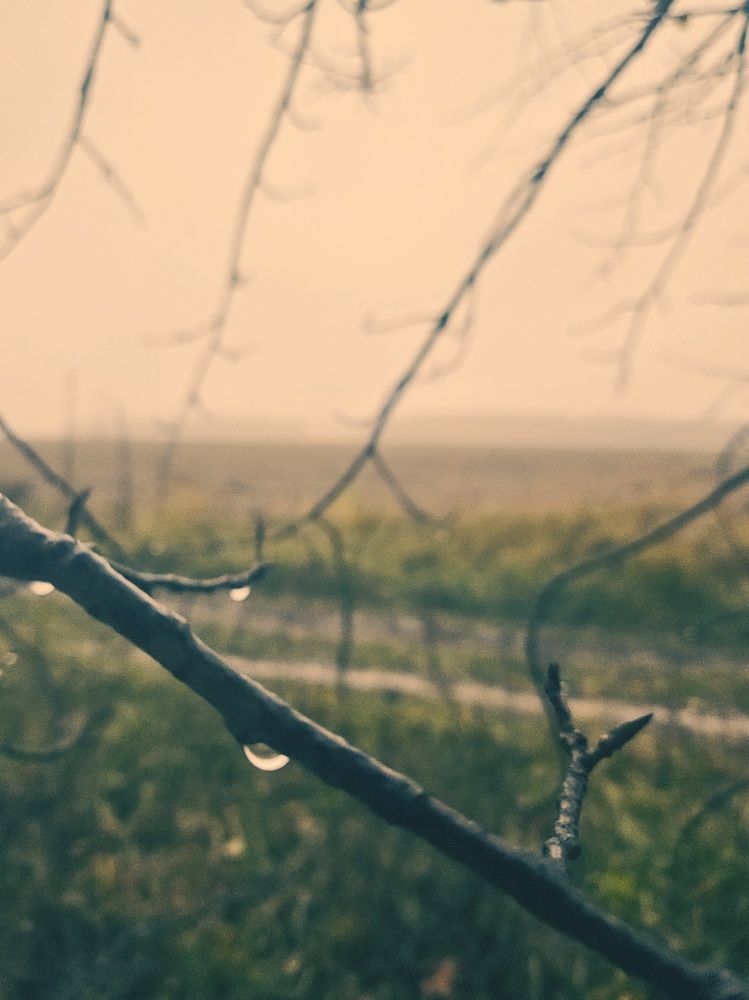 Photograph by Сергей Лабзин