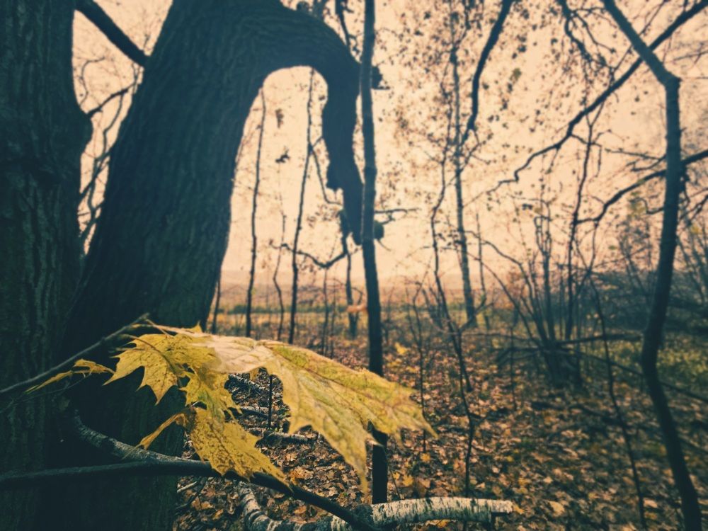 Photograph by Сергей Лабзин