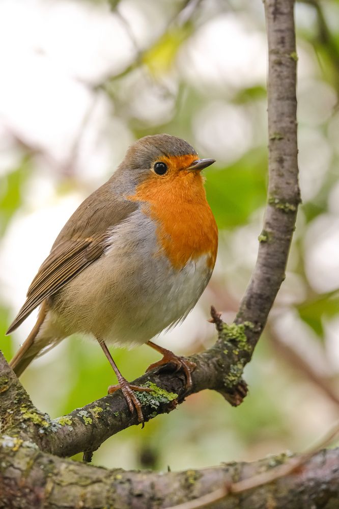 Photograph by Александр Высоцкий