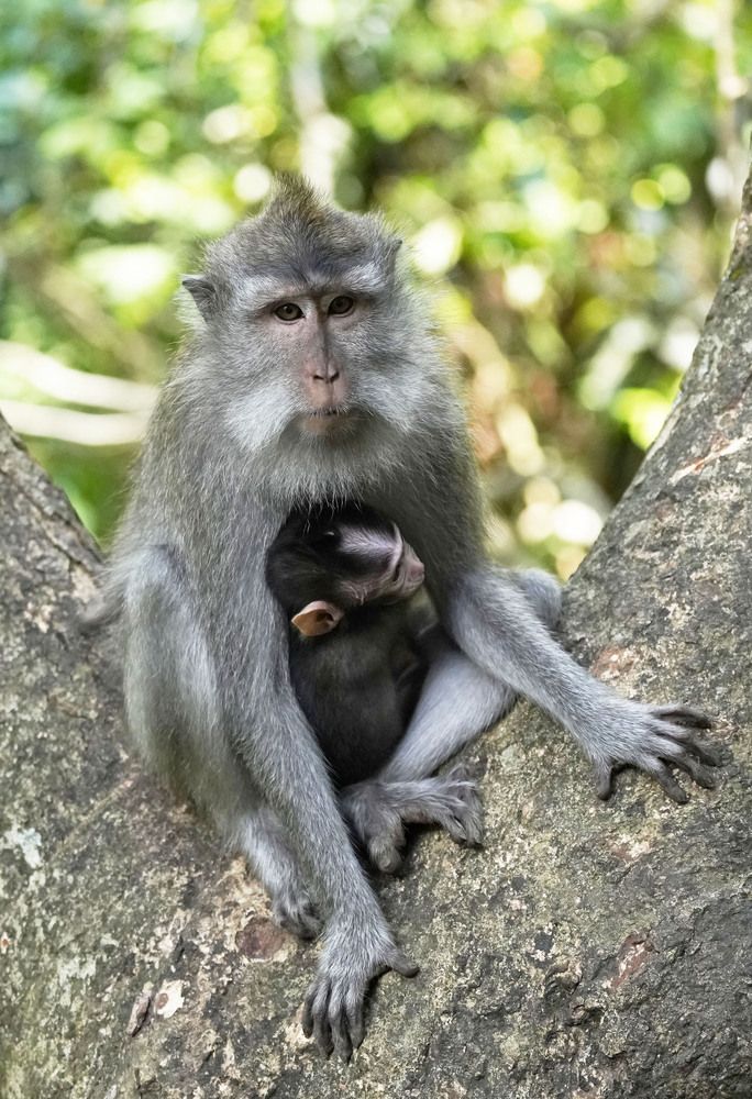 Photograph by Raed Victor Saad