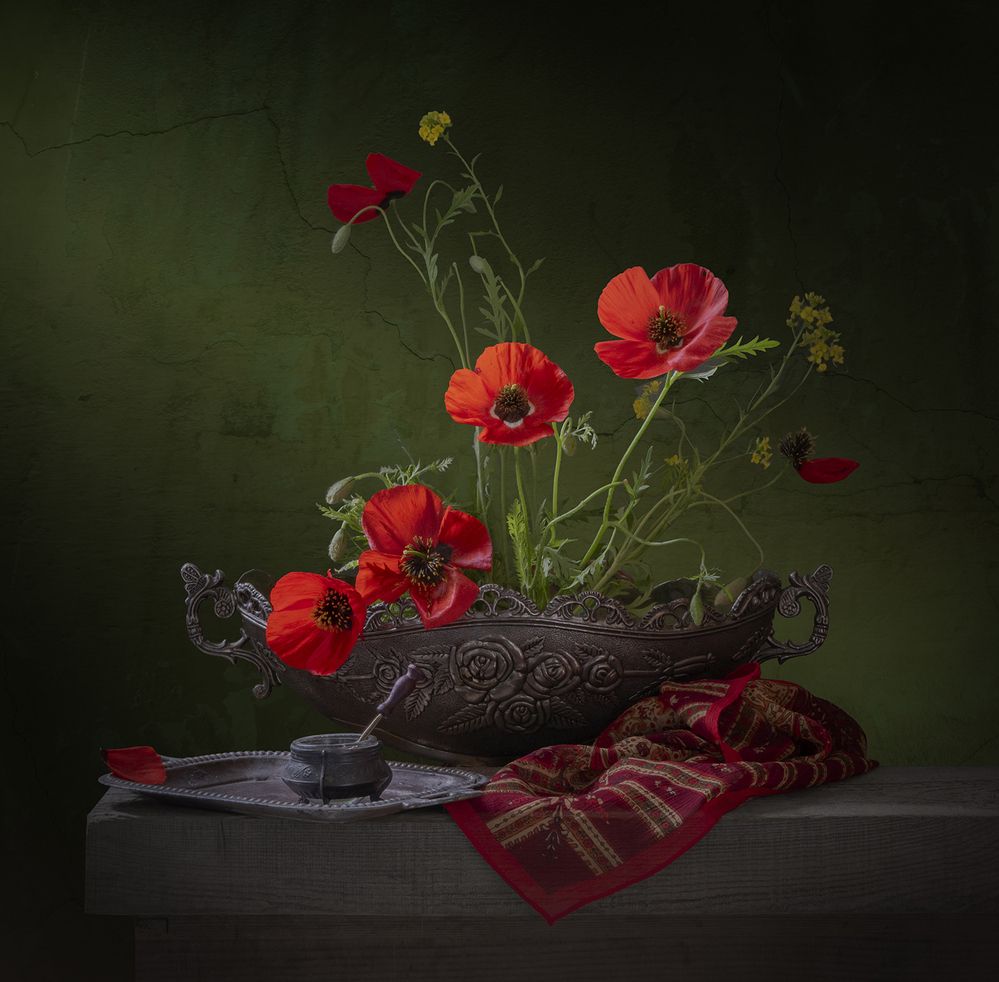 Photograph by Шипунова Ирина