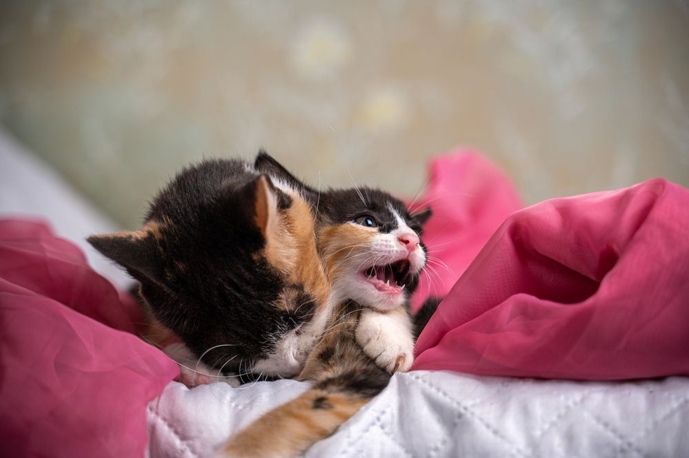 Photograph by Любовь Галушкина