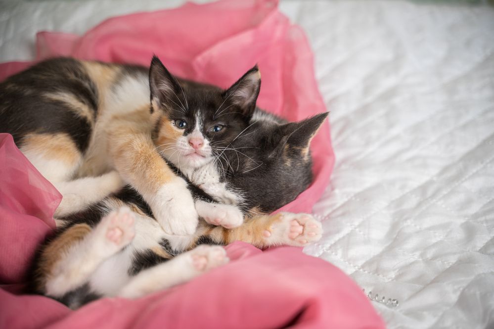 Photograph by Любовь Галушкина