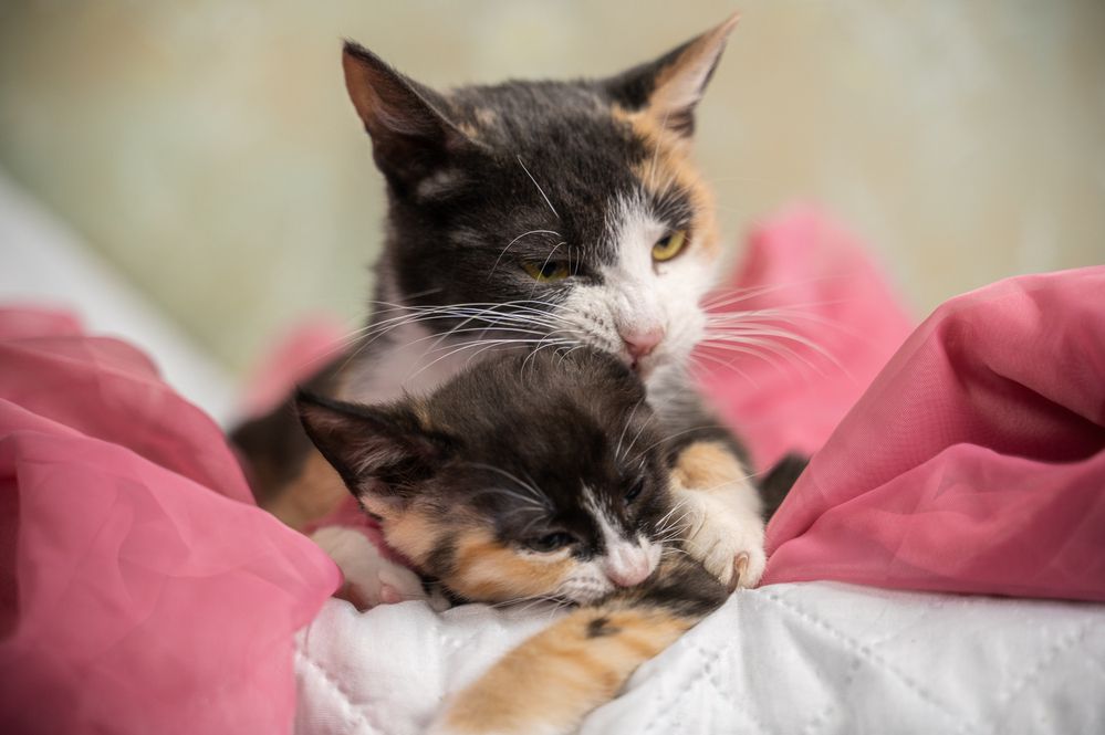 Photograph by Любовь Галушкина