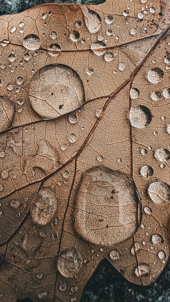 Photograph by Алена Жирова