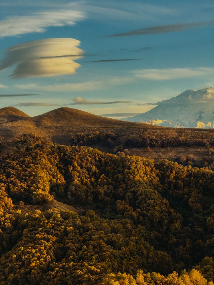 Фотография автора Нина Бочарова