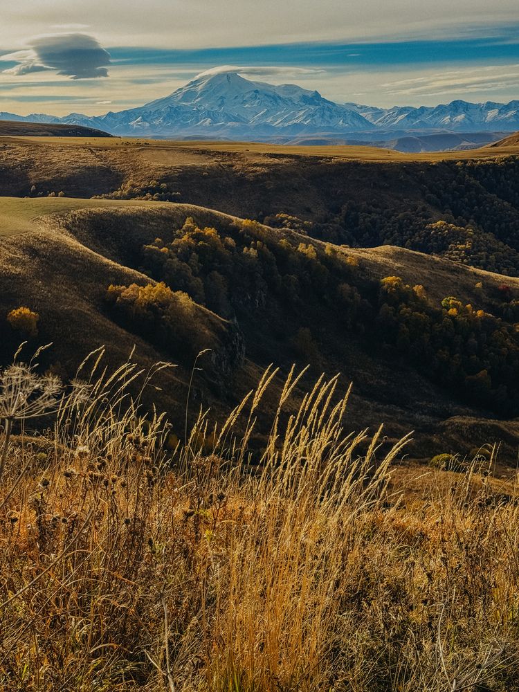 Фотография автора Нина Бочарова
