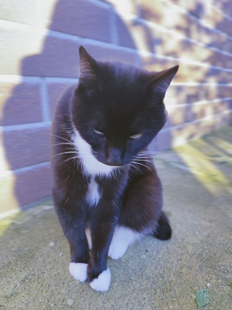 Фотография автора Татьяна Мишкина