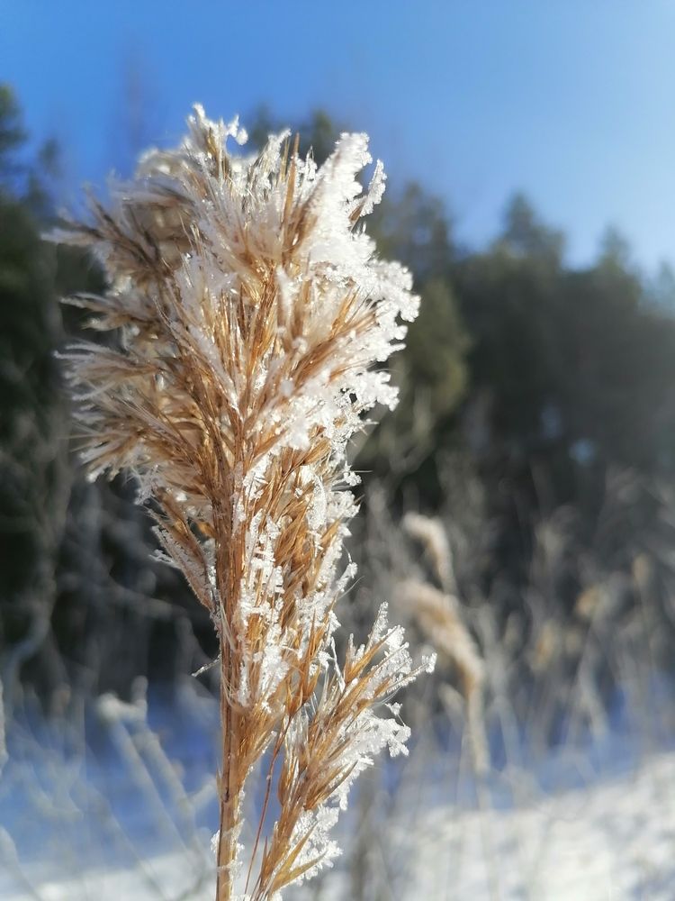 Photograph by Татьяна Бешенкина