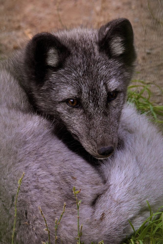 Photograph by Alena Tureva