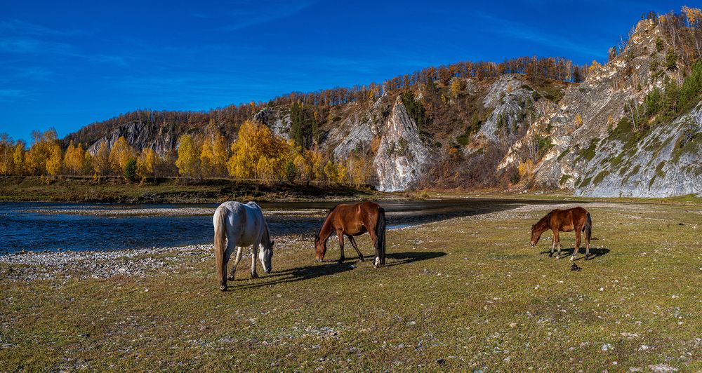 Photograph by Евгений Кармаев
