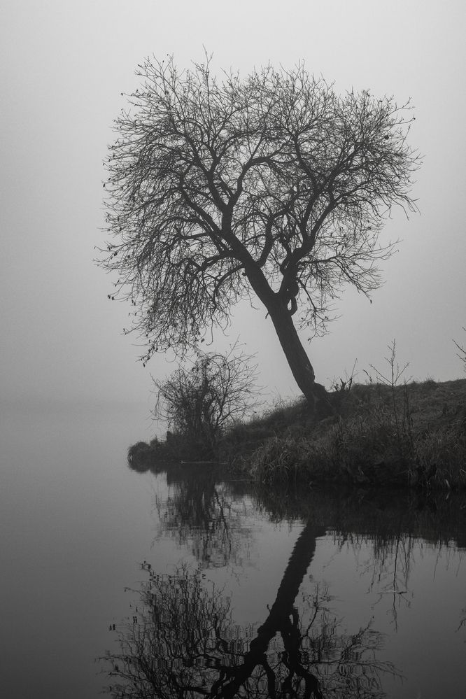 Photograph by Денис Хабибуллин