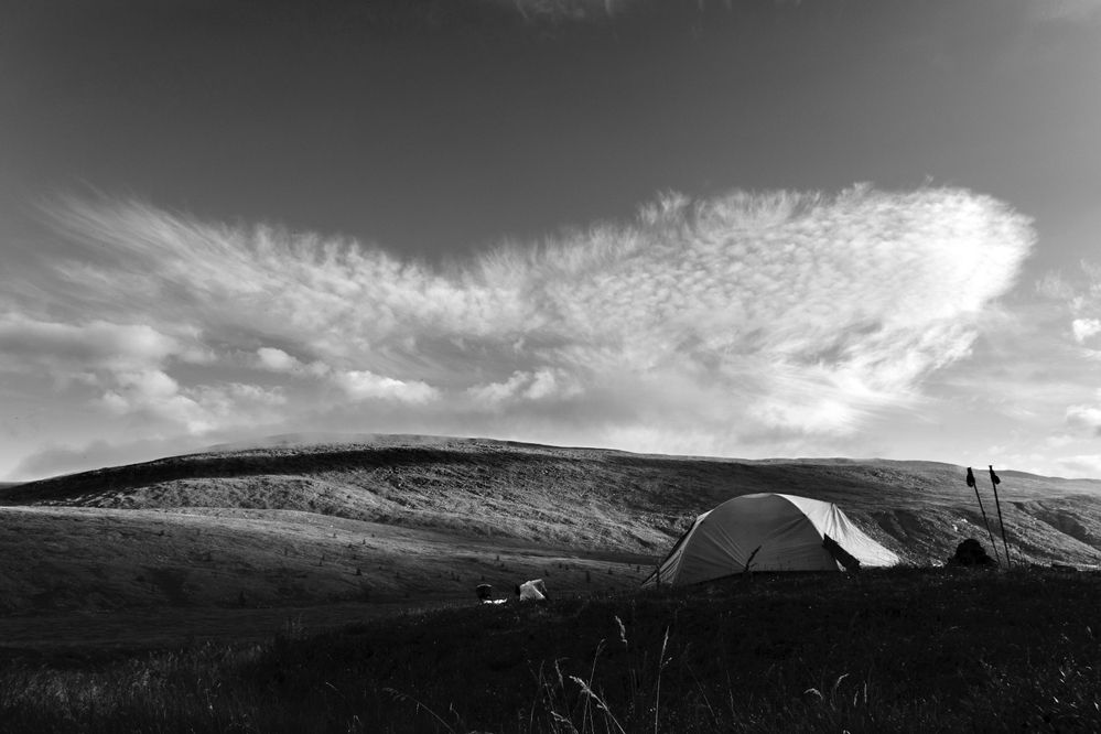 Photograph by Галина Ильясова