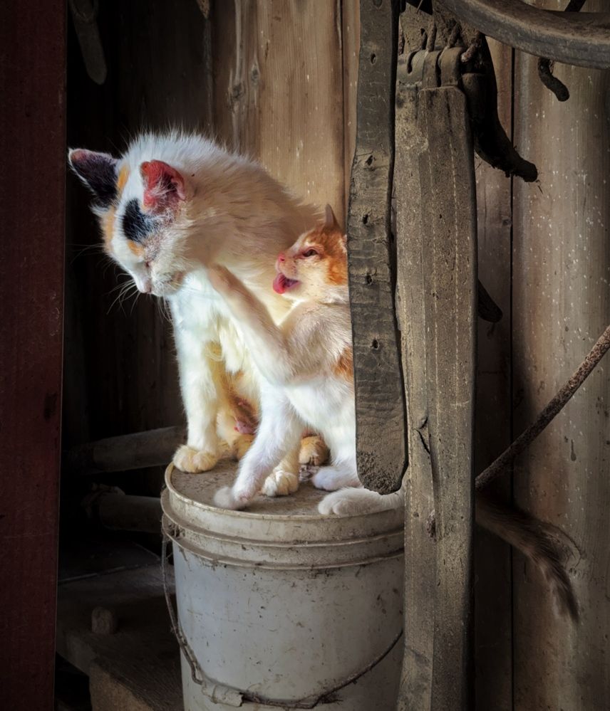 Photograph by Юлия Порфирьева