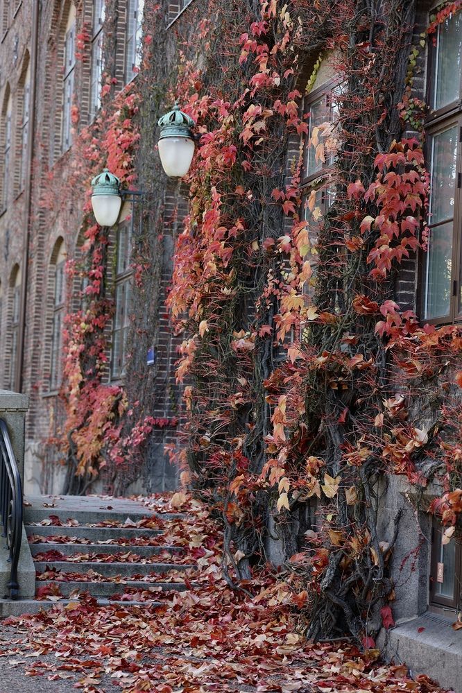 Photograph by Ekaterina Andreassen