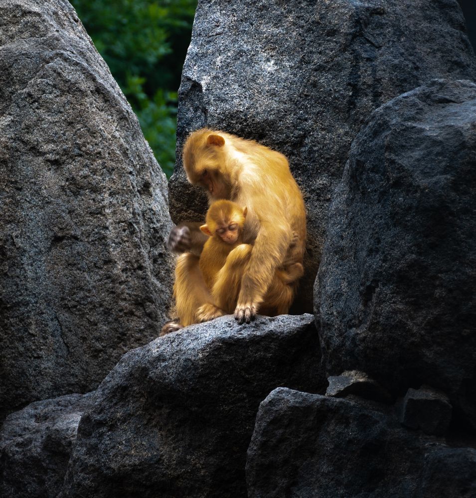 Photograph by lee pound