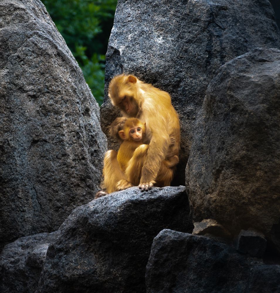 Photograph by lee pound