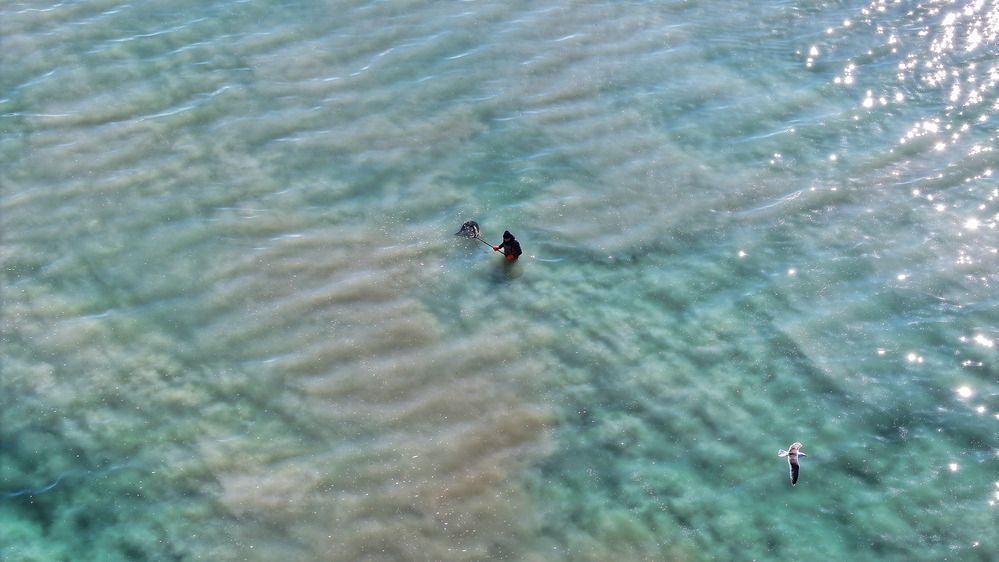 За селёдкой