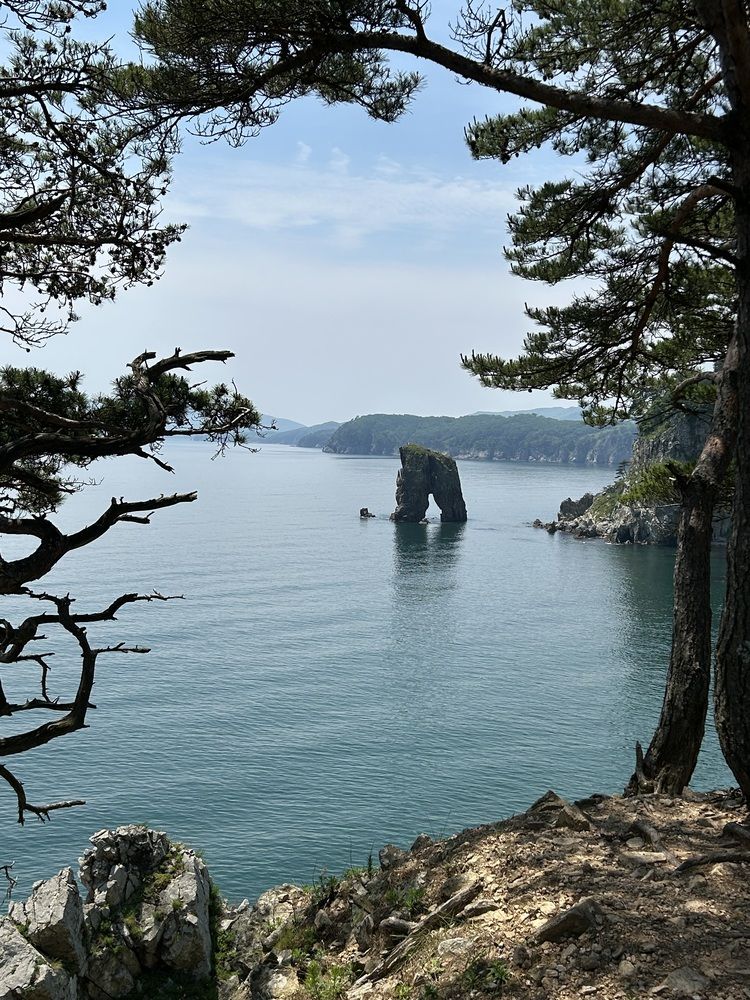 Photograph by Анна Неверовская