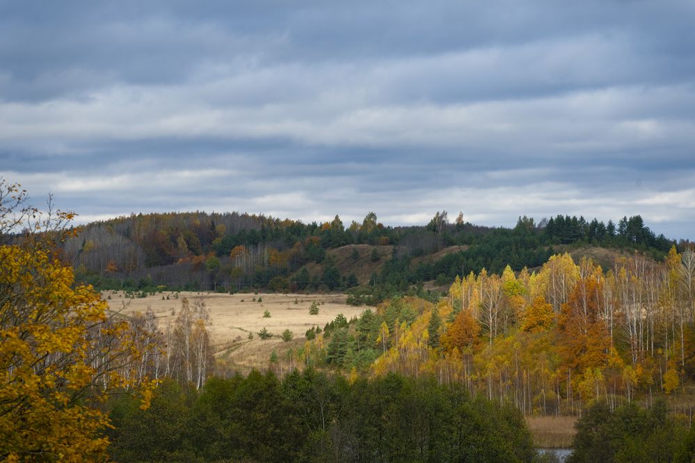 Photograph by Александр Шульга