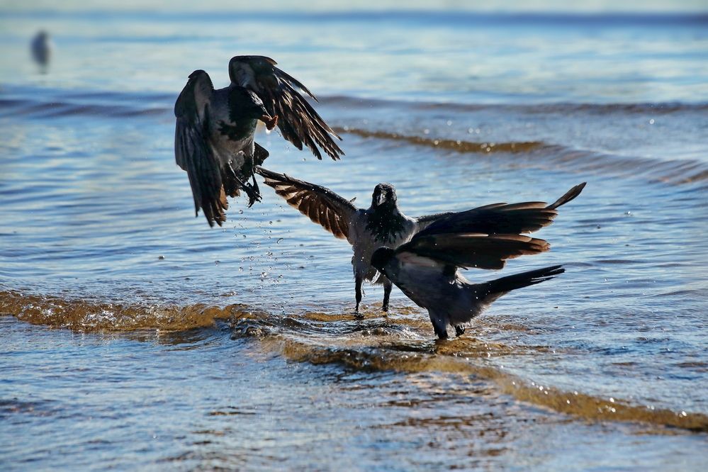 Photograph by Татьяна Бравая