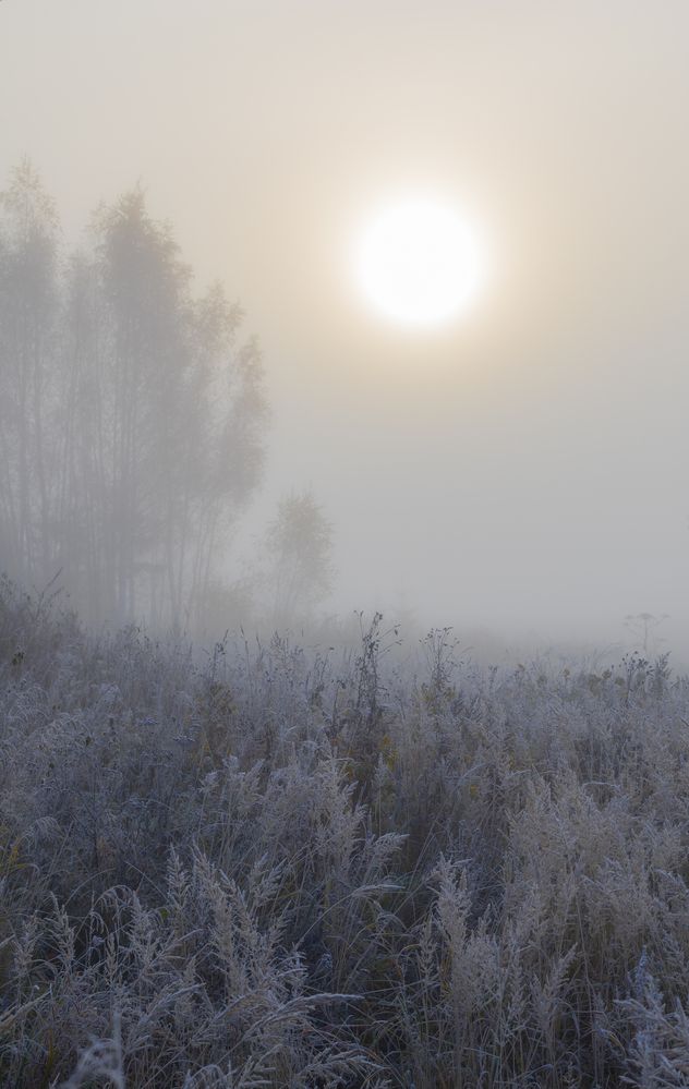 Photograph by Алексей Егоров