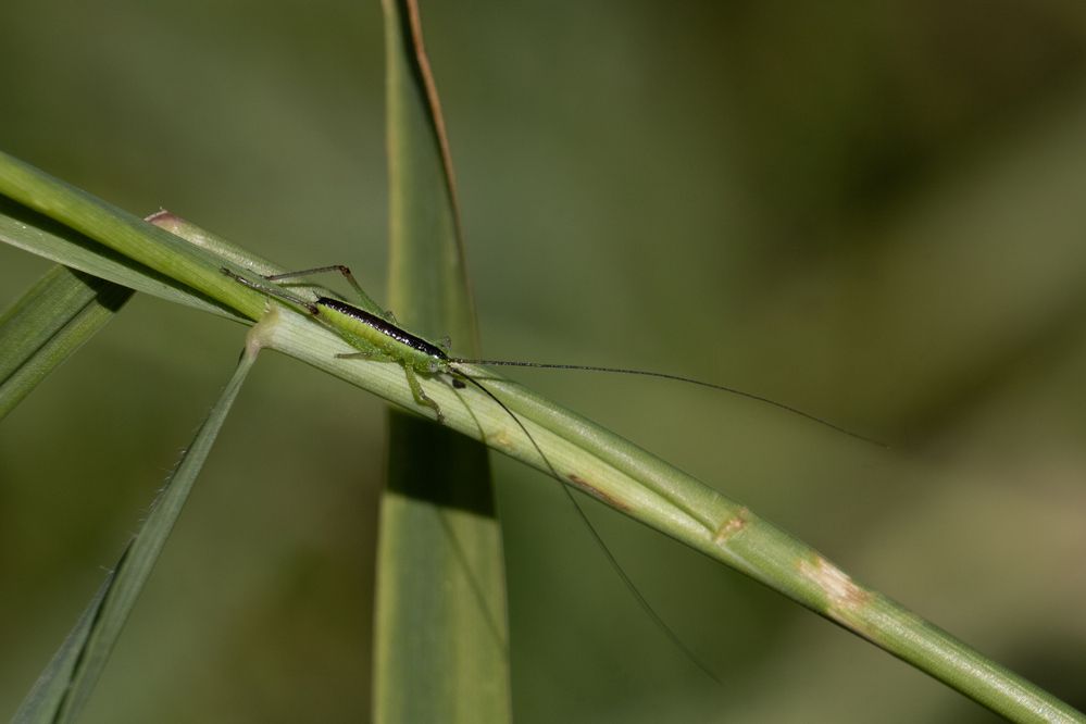 Photograph by Алексей Егоров