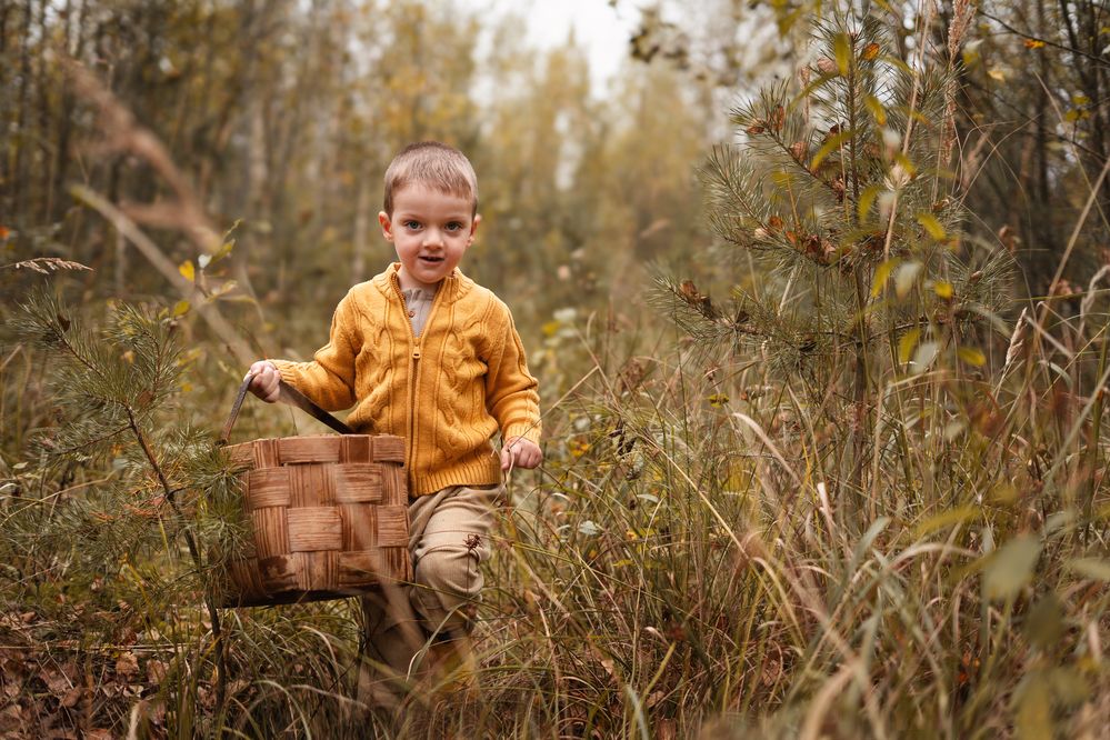 Photograph by Анна Никитина