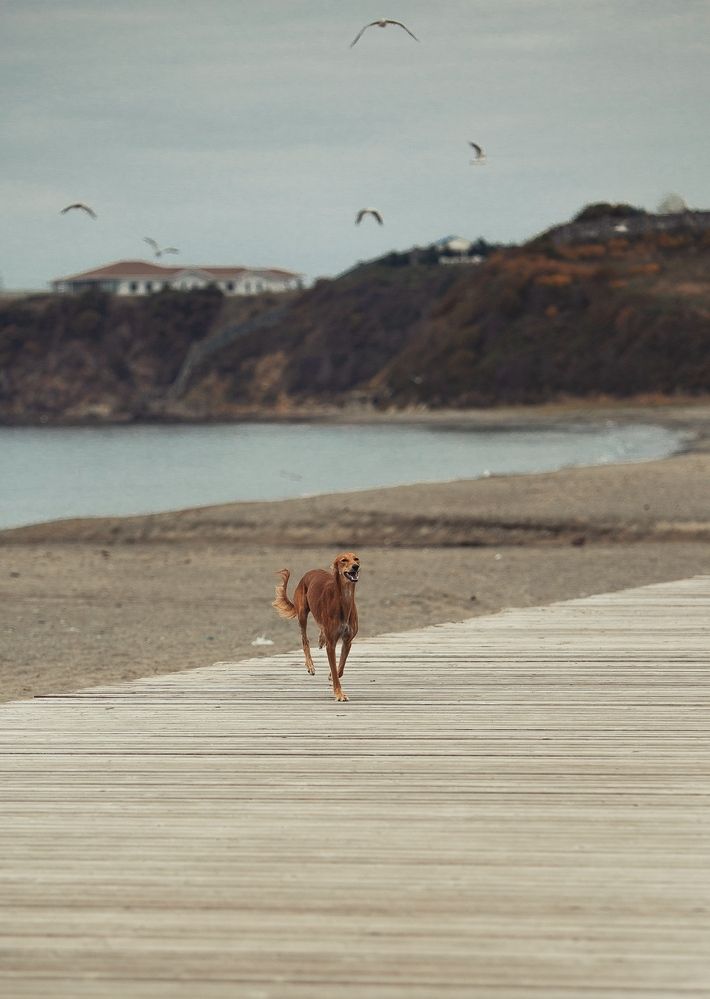 Photograph by Лана Камаль