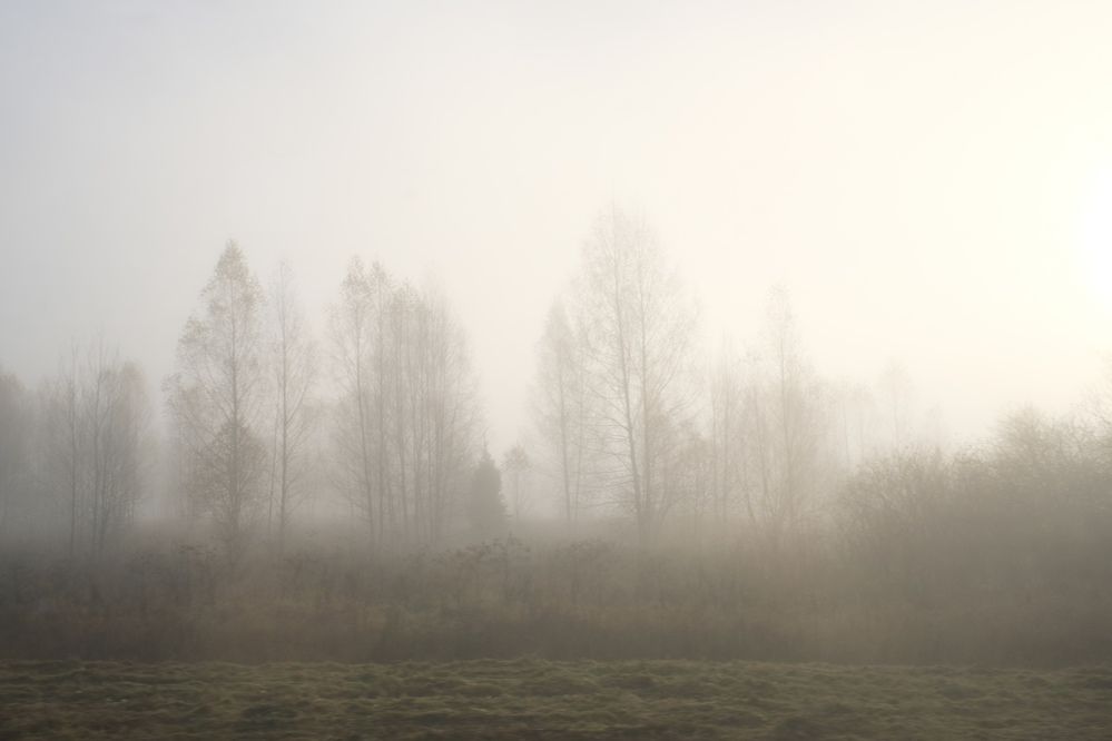 Photograph by Аделаида