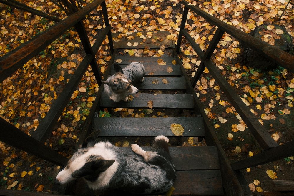 Photograph by Аделаида