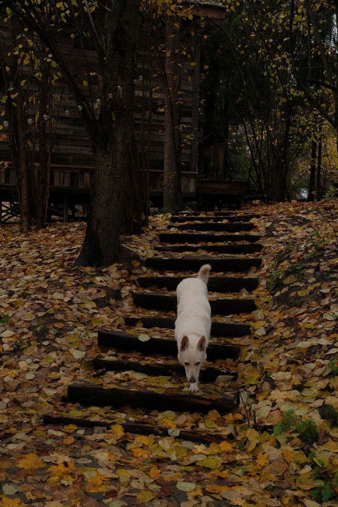 Photograph by Аделаида