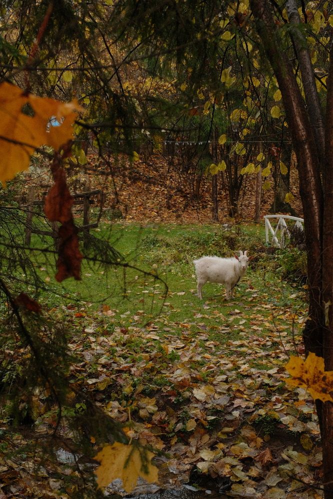 Photograph by Аделаида