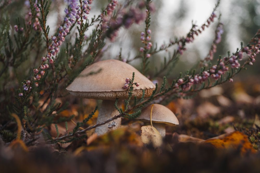 Photograph by Анна Никитина