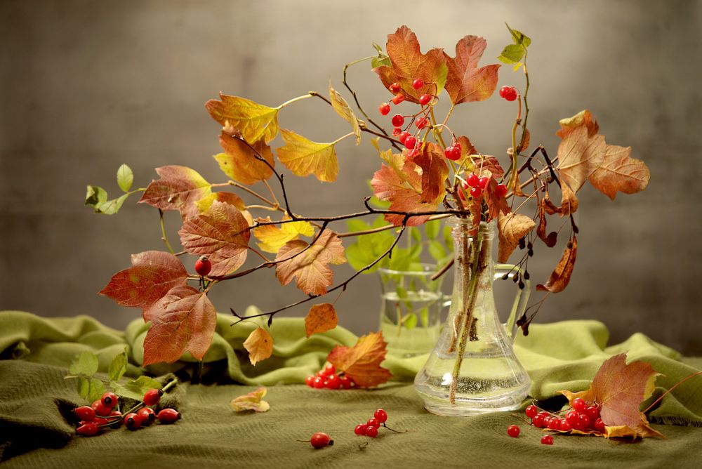 Photograph by Шруб (Беляева) Татьяна