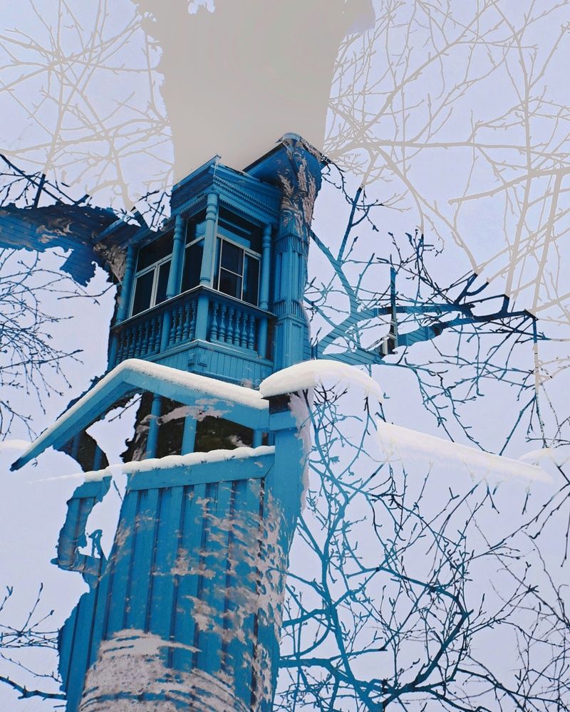 Photograph by Анастасия Бородулина