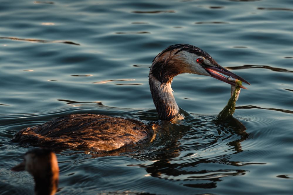 Photograph by Anastasia