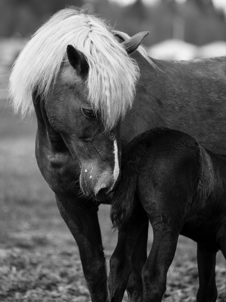 Photograph by Светлана Балабанова