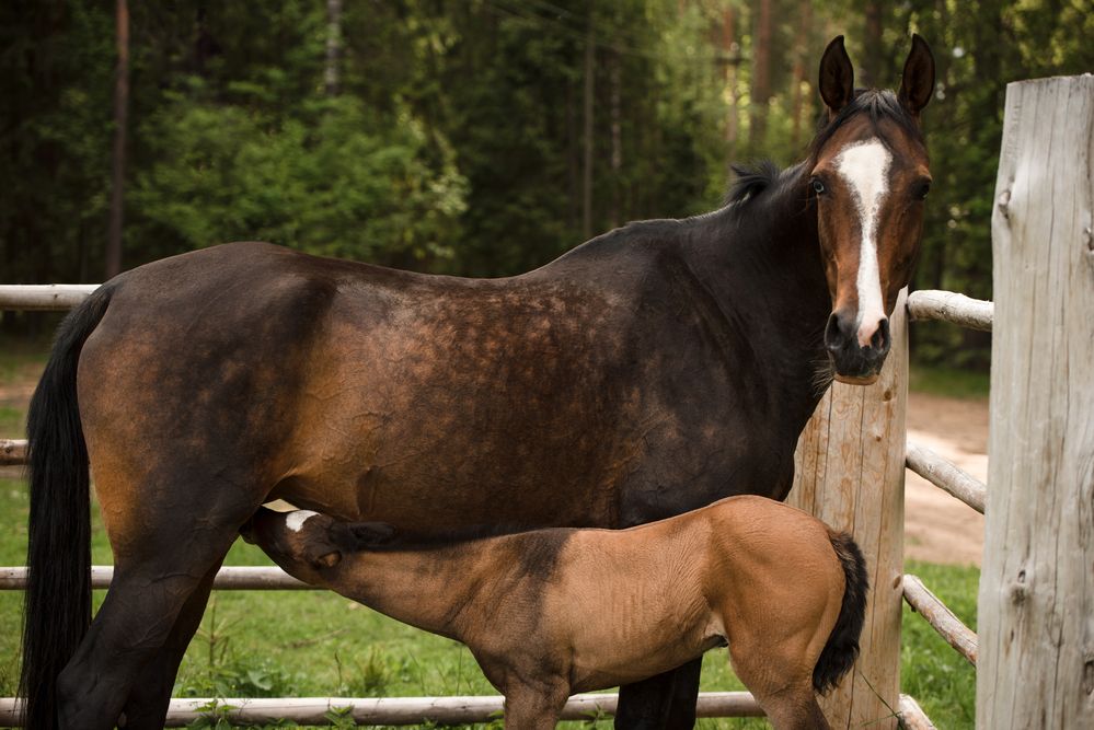 Photograph by Светлана Балабанова