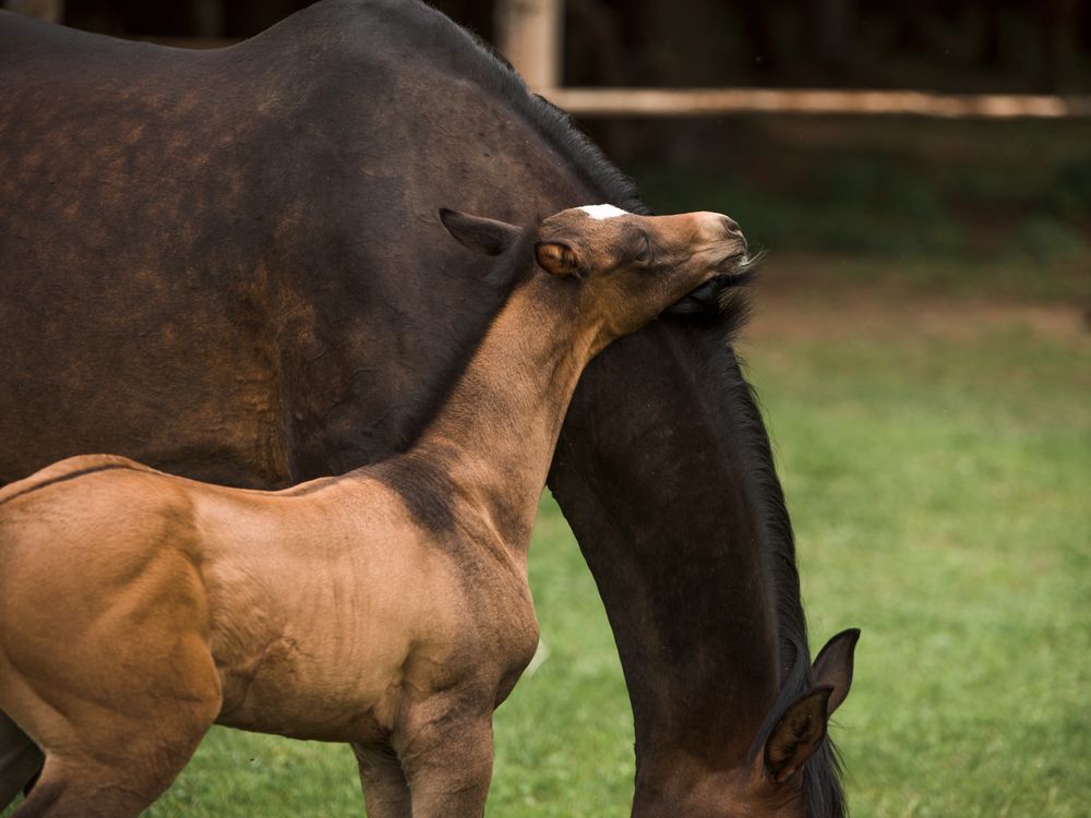 Photograph by Светлана Балабанова