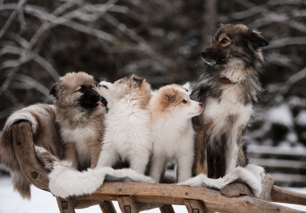 Photograph by Светлана Балабанова