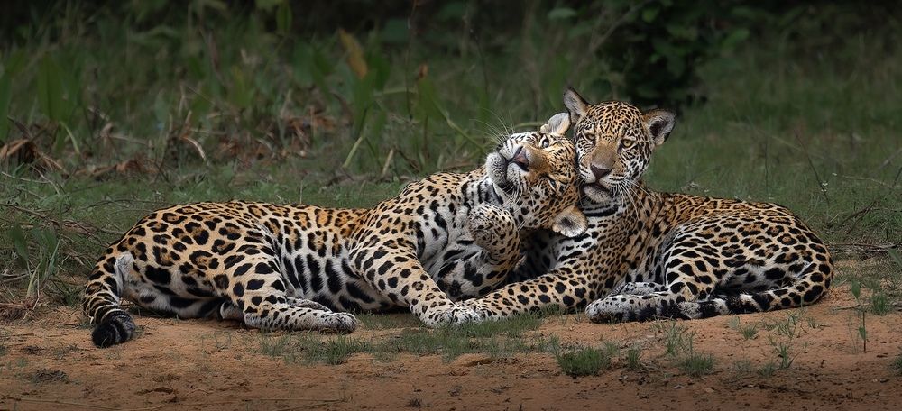 Mother, Please Stop!