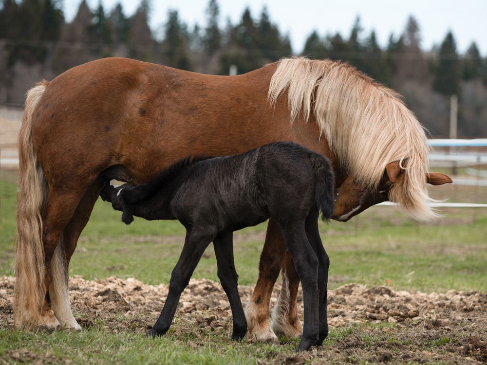 Photograph by Светлана Балабанова