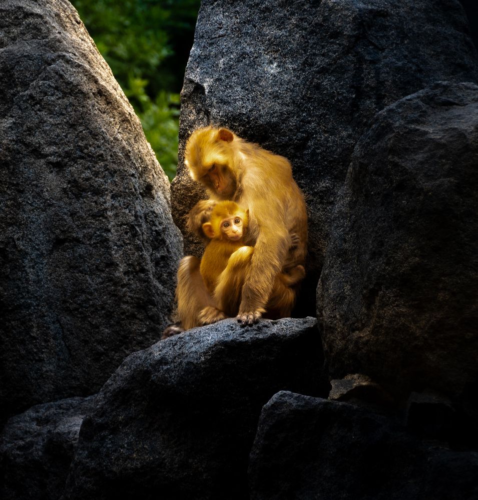 Photograph by lee pound