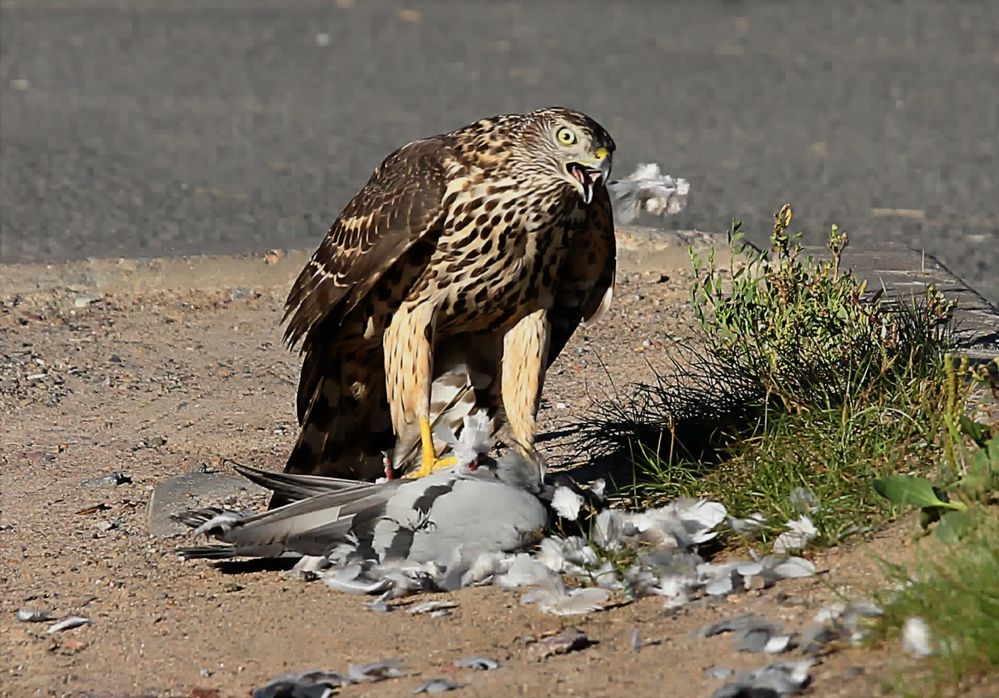 Photograph by Татьяна Слесарева